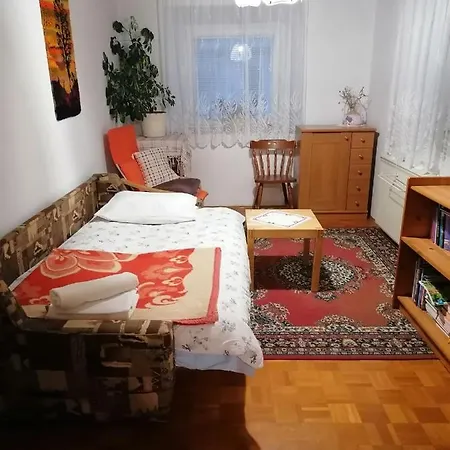 Apartma Tilika 公寓 克拉尼斯卡戈拉